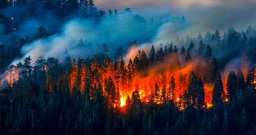 Geçmişten Günümüze Türkiye'nin Orman Yangınlarıyla Mücadelesi