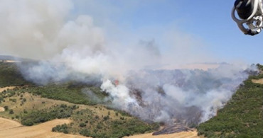Gelibolu'da Ormanda Yangın Çıktı