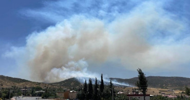 Gökçeada’da korkutan orman yangını: Son görüntüler endişe verici