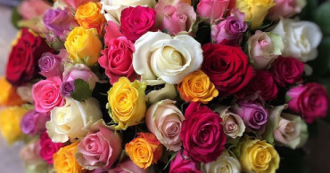Gül Aşıkları! Birbirinden Güzel Güllerin Anlamlarını Biliyor Musunuz?