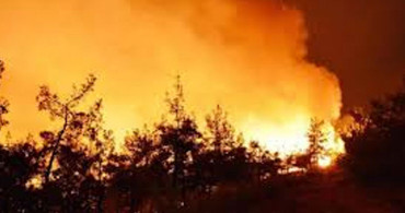 Gürcistan'da 234 Bölgede Yangın!