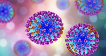 H3N8 virüsü nedir, nasıl bulaşır? Çin'de görülen H3N8 virüsü belirtileri neler?