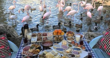Hafta Sonu Tatil Rotası: Flamingo Köyü