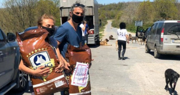 Haftasonunda İstanbul'daki Sokak Hayvanları Unutulmadı