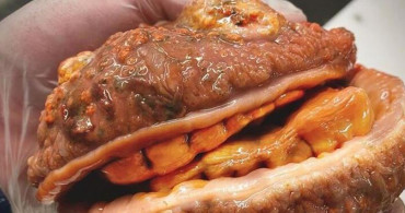 Hamburger Sandılar Balık Çıktı! Sosyal Medya Bu Görüntüleri Konuşuyor