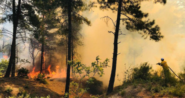 Hatay'da orman yangını çıktı: Ekipler seferber oldu