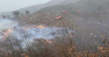 Hatay’ta Yangın: İskenderun İlçesi Kırsalında Orman Yangını Çıktı!