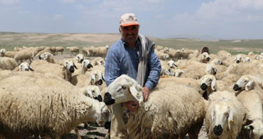 Hayvan Yetiştiricilerine Gaziantep'ten Destek Geldi