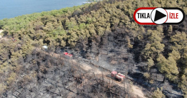 Heybeliada'nın Yangın Sonrası Havadan Görüntüleri Paylaşıldı