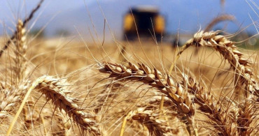 İhracatta son durum ne? Buğday ve mısır fiyatları tarihi zirvede seyrediyor