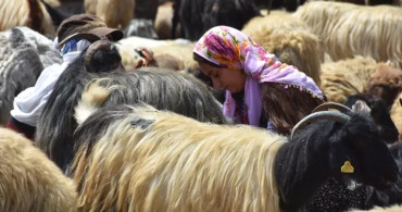 İki üniversite bitirdi ancak bu mesleği seçti! 10 kadına cesaret verdi, umut oldu!