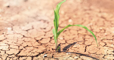 İklim Değişiyor! Tarım Ürünleri Tehdit Altında