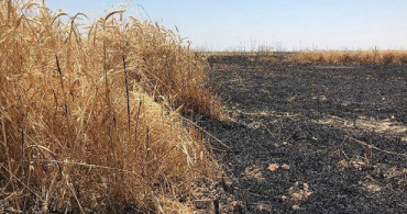 Irak'ta Son Bir Ayda 40 Bin Dönüm Tarım Arazisi Yandı
