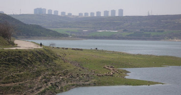 İstanbul’da Barajlar Yüzde 80 Seviyesine Ulaştı