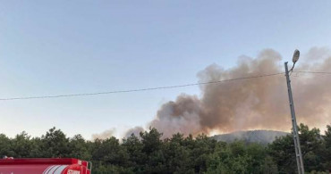İstanbul'da Korkutan Orman Yangını