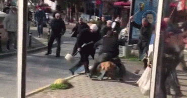 İstanbul’da Pitbull Dehşeti: Tedbirsiz Gezdirilen Köpek 3 Vatandaşı Yaraladı!