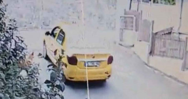 İstanbul'da taksici terörü: Maltepe'de sokak köpeğini ezen taksici arkasına bakmadan kaçtı!