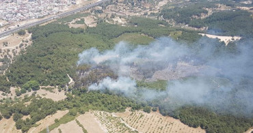 İzmir Buca'da Orman Yangını