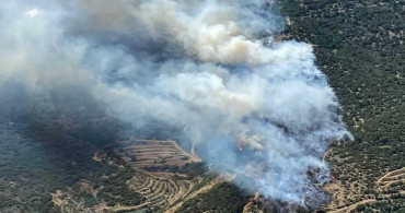 İzmir'de korkutan orman yangını! Çok sayıda ekip olay yerine sevk edildi