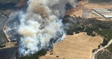 İzmir’de korkutan orman yangını: Olay yerine çok sayıda ekip yönlendirildi