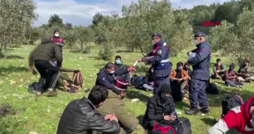 İzmir'de Mahsur Kalan 204 Göçmen Kurtarıldı