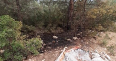 İzmir'de Ormanı Ateşe Veren Şüpheli PKK/KCK Üyesi Yakalandı
