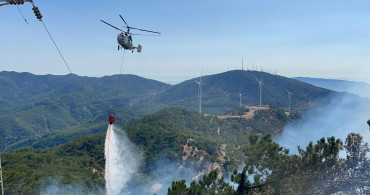 İzmir'de Ormanlık Alanda Yangın Çıktı