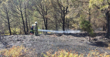 İzmir’deki orman yangını kontrol altına alındı: Çok sayıda kişi yaralandı