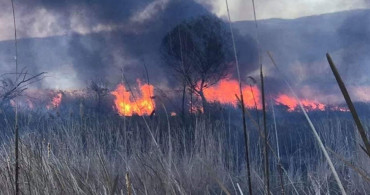 İznik Gölü Etrafında Korkutan Yangın!