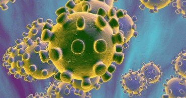 Japonya'da Coronavirüs 2 Can Daha Aldı