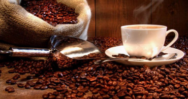 Kahve Üretimi Nasıl Yapılır?