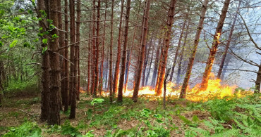 Kastamonu'da orman yangını: Çok sayıda ekip müdahale etti!