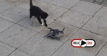 Kedilerin ’Drone’ a Saldırısı Renkli Görüntüler Oluşturdu