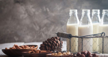 Kenevir Sütü Nasıl Hazırlanır? Kenevir Sütü Tarifi