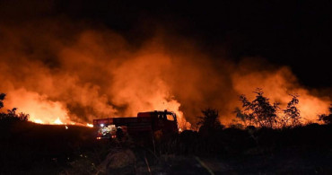 Keşan’da buğday tarlasında yangın çıktı: 100 dönüm arazi kül oldu