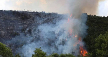 Kocaeli’nde korkutan orman yangını: Olay yerine çok sayıda ekip sevk edildi