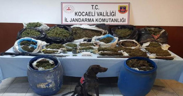 Kocaeli'nde Operasyon: 61 Kilo Esrar Yakalandı