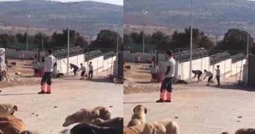 Konya’daki barınak görüntüleri tepki seline yol açmıştı: Hayvanlara işkence eden kişiler tutuklandı