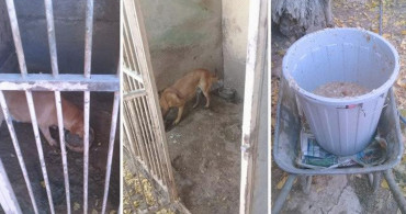 Köpek Eğitim Merkezinde Uygunsuz Koşullarda Köpek Besleyen Veteriner Hekime 34 Bin TL Ceza