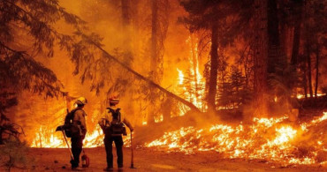 Korkutan orman yangını: Yetkililer acil durum ilan etti!
