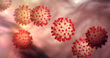 Koronavirüs Mutasyona Uğradı mı? Korkutan Sonuçlar