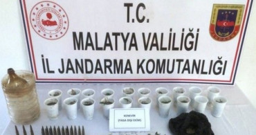 Malatya'da Jandarma Ekipleri Pet Bardakta Yetiştirilmiş Kenevir Ele Geçirdi