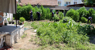 Manisa'da Bir Evin Bahçesinde 260 Kök Hint Keneviri Ele Geçirildi