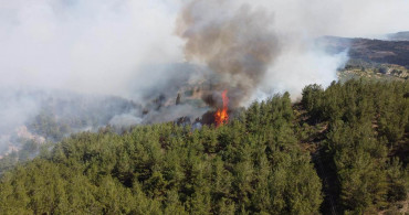 Manisa’da orman yangını: Alevler her yeri sardı