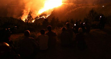 Manisa'da Ormanlık Arazide Büyük Yangın!