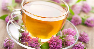Mantar Hastalığını Ekinezya Çayı ile Önleyin