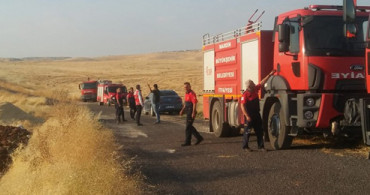Mardin'de Çıkan Yangında 600 Dönüm Arazi Kül Oldu
