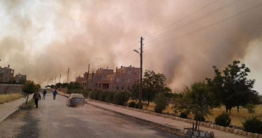 Mardin'de Orman Yangını