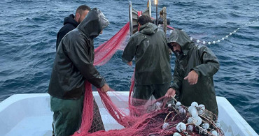 Marmara Bölgesindeki kuvvetli sağanak Balıkçılara yaradı: Kasalar tonlarca hamsiyle doldu taştı