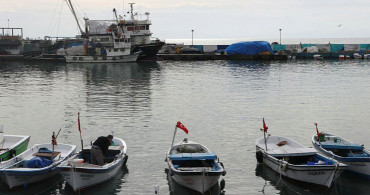 Marmara Denizi'nde Salya Belası
